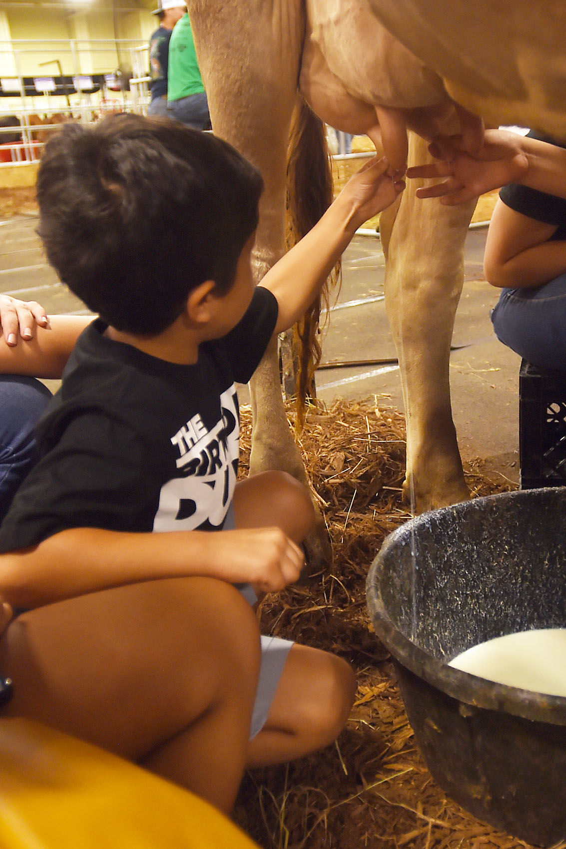 Cabarrus County Fair